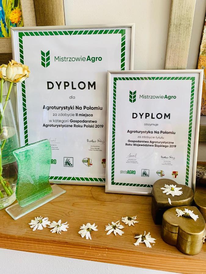 Agroturystyka „Na Polomiu” อิสเตบนา ภายนอก รูปภาพ
